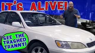 Lexus ES300 Mrs Wizard bought for 1K is alive Tranny was an absolute disaster You have to see it