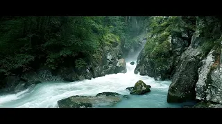 Віктор Павлік Бо в сні відлітаю Version 2022 