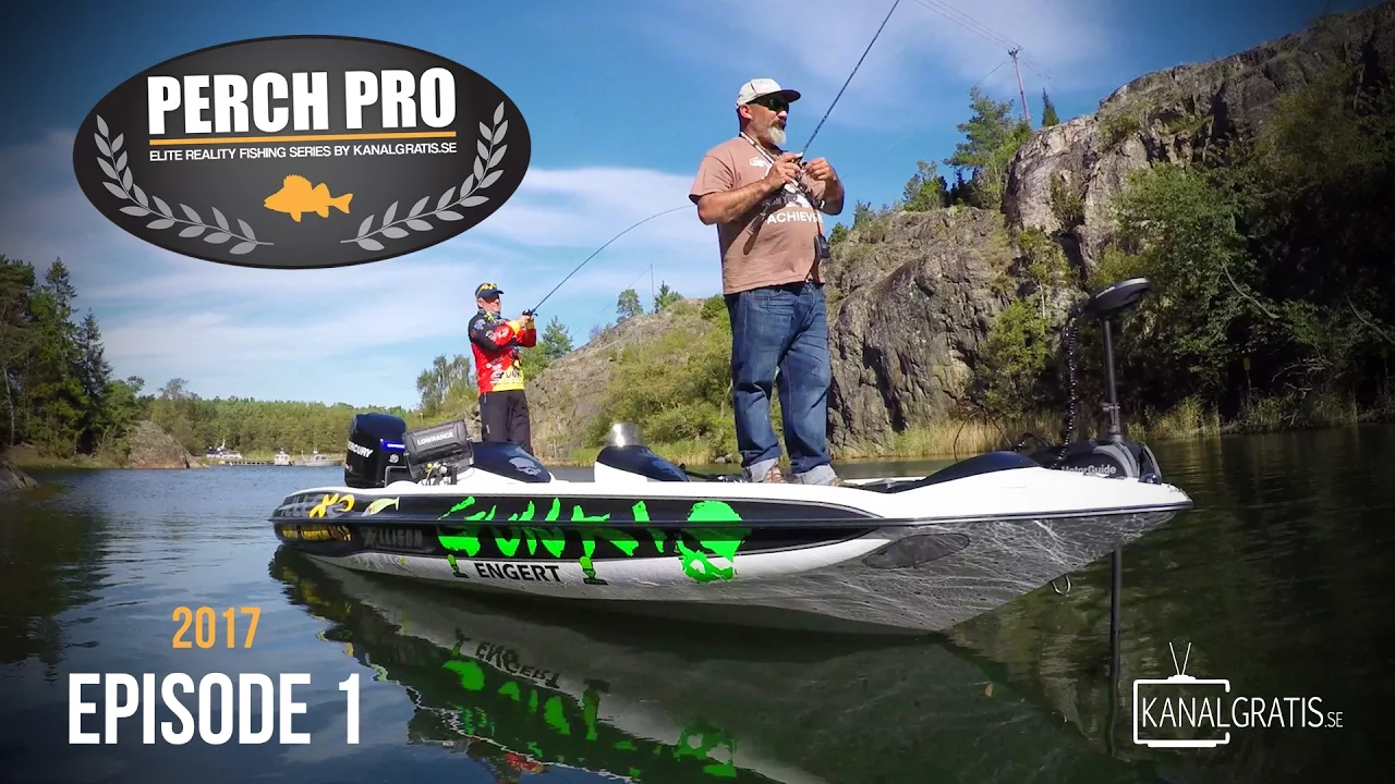 video Perch pro 2017