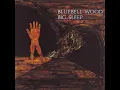 Lagu BIG SLEEP - Bluebell Wood UK 1971£780 Pegasus PEG 4 PSYCH/PROG