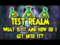 Wizard101 TEST REALM TUTORIAL
