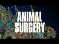 Download Lagu Dance Gavin Dance - Animal Surgery (Official Visualizer)
