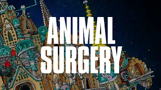 dance gavin dance animal surgery official visualizer 
