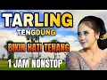 Download Lagu TARLING TENGDUNG PALING SYAHDU__ ENAK DI DENGAR FULL ALBUM BIKIN HATI NYAMAN