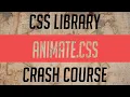 How to use Animate CSS CSS Library Crash Course Under 10 Minutes