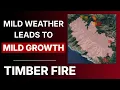 Timber Fire Update Forecast Big Sur CA