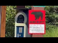 Alaska woman uses bear spray to fight off brown bear on popular anchorage trail