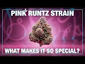 Pink Runtz Strain Explained What Makes It So Special