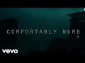 Download Lagu Roger Waters - Comfortably Numb 2022