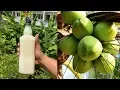 Download Lagu Homemade Coconut Toddy | How to make Toddy from Coconut Water | Lockdown | Bachelor Cooking Recipes