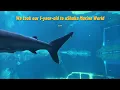 uShaka Marine World Durban 2026 | Baby’s First Aquarium Experience 🐠