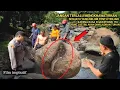 Download Lagu Diluar nalar.! ada orang didalam batu menangis minta tolong membuat gempar warga satu kampung