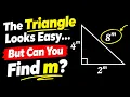 The Triangle Looks Easy But Can You Find m