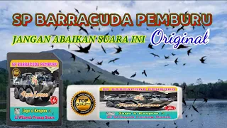 Download SP BARRACUDA PEMBURU || Suara Walet RBW Sukses || Suara Panggil MP3