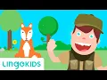Download Lagu A Hunting We Will Go - Nursery Rhymes | Lingokids