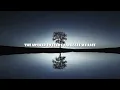 Why Does God Call Himself "I AM"? - Exodus 3:14 - Daily Devotion - Daily Bible Verse