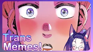Some Really Euphoric TRANS Memes