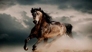 khaled al haqan khud dimana 