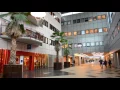 Download Lagu Study MSc Biomedical Engineering at the University of Groningen