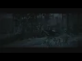 Red Dead Redemption 2 - D'Angelo "Unshaken"