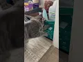 Download Lagu Hector keeps trying #hector #funnyanimals #funnycats