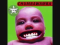 Download Lagu chumbawamba amnesia