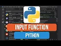 How to Use the input Function in Python