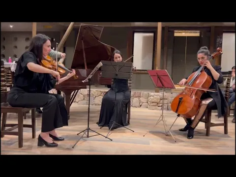 Final Allegro del Cuarteto en Sol Menor de Mozart -  martinwullich.com
