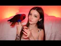 asmr but my parrot does the triggers dainty wilder