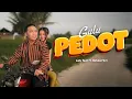Download Lagu LAILY SUCI feat PIKRI - GULU PEDOT [Official MVC]