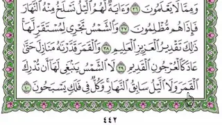 سورة يس مكتوبة بصوت شيخ رعد محمد الكردى  سورة يس مكتوبة بصوت شيخ رعد محمد الكردى