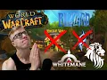 The BLIZZARD THREAT to WoW PRIVATE SERVERS Continues