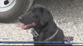 Go inside the ADOC K-9 Training Facility