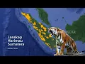 Lagu KISAH SI RAJA HUTAN YANG TERSISIHKAN DI MERANGIN | INDONESIAKU (29/07/25) Part 2