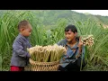 Download Lagu Discover the Life of Two Orphans – Making a Living from Nature