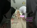 Download Lagu KUCING SALTING #shorts