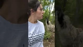 Karen s backstory