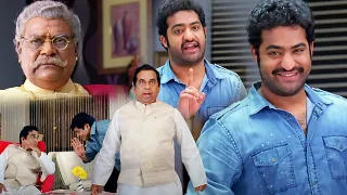 brahmanandam and jr ntr back to back comedy scene dhammu movie scenes multiplex telugu
