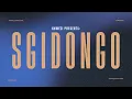 Download Lagu Sgidongo Mix 2025 | Hotfurze, Mdu aka TRP, Nkulee501, Freddy K, W4DE