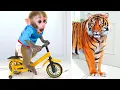 Download Lagu Monkey Baby Bon Bon Ride a Bike and eats watermelon with ducklings in the garden