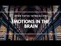 Emotions in the Brain Intro Psych Tutorial