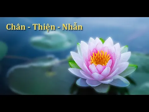 Download MP3 Nhạc tập Pháp luân công 120 phút - Không lồng tiếng Việt