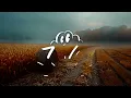 Marshmello x Jelly Roll - Holy Water (Lyrics)