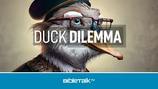 Duck Dilemma