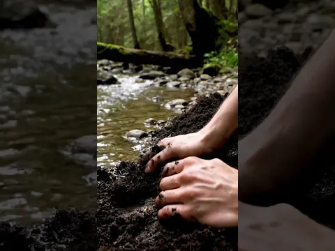 POV: Searching for secrets by the riverbank! #Riverfinds #Outdooradventure #Forestlife