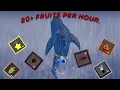 The EASIEST And FASTEST Fruit Farming Method In GPO no DF Rod required