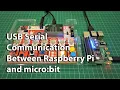 USB Serial Communication Between Raspberry Pi and Microbit