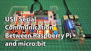 USB Serial Communication Between Raspberry Pi and Microbit