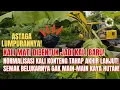 Download Lagu KEREN KDM❗BENTUK KALI MATI JADI KALI BARU❗NORMALISASI KALI KONTENG BEKASI❗SEMAK BELUKAR KAYA HUTAN❗