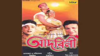 ami je ek pakhi